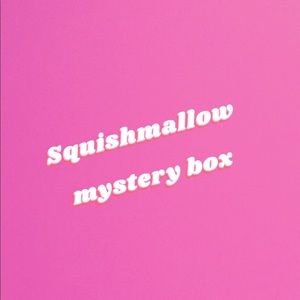 New with tags mystery box